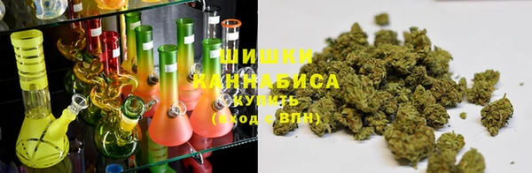 прущие крисы Бородино