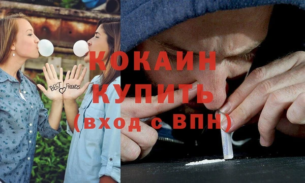 прущие крисы Бородино