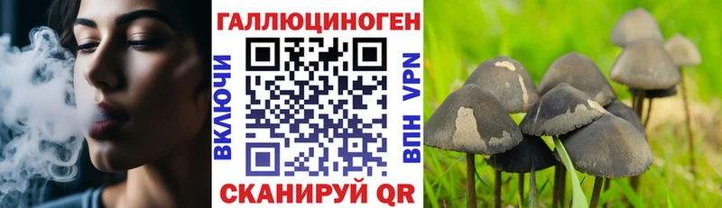 Купить  Переславль-Залесский  Галлюциногенные грибы прущие грибы 